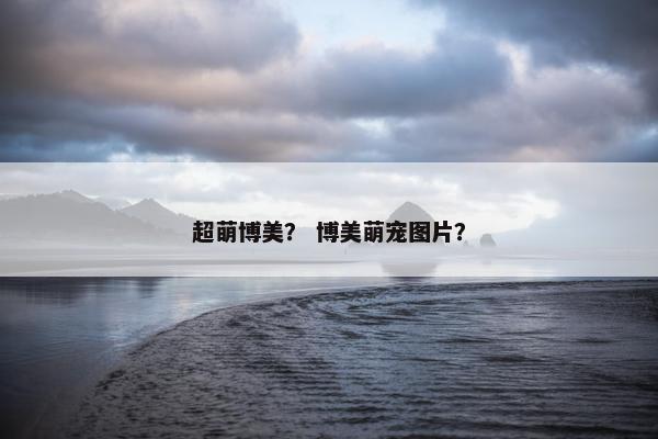 超萌博美？ 博美萌宠图片？