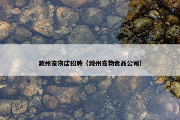 滁州宠物店招聘(滁州宠物食品公司)