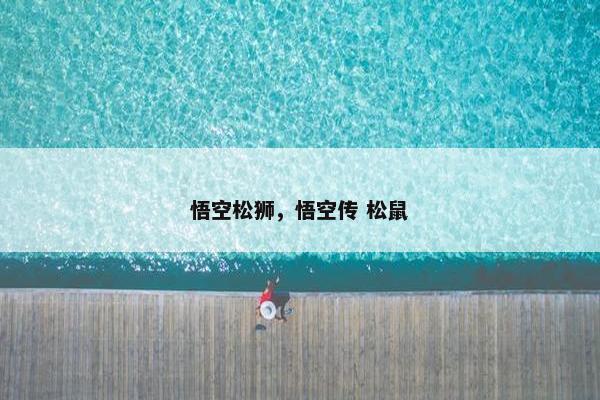 悟空松狮，悟空传 松鼠