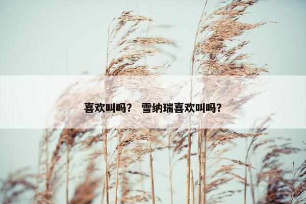 喜欢叫吗？ 雪纳瑞喜欢叫吗？