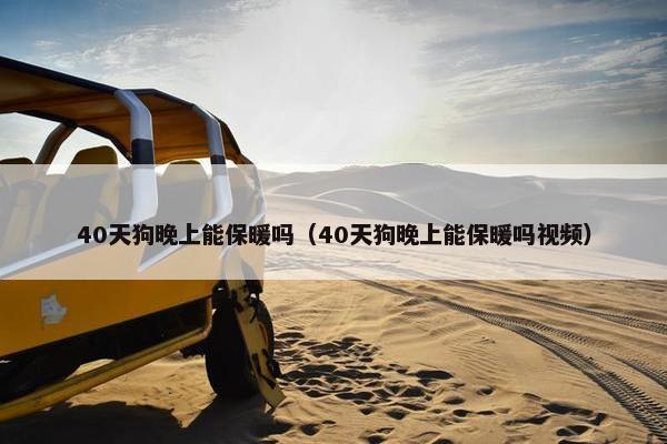 40天狗晚上能保暖吗(40天狗晚上能保暖吗视频) 40天狗晚上能保暖吗(40天狗晚上能保暖吗视频)