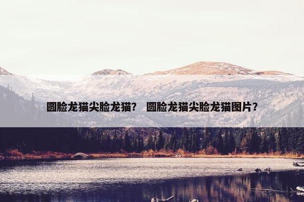 圆脸龙猫尖脸龙猫？ 圆脸龙猫尖脸龙猫图片？