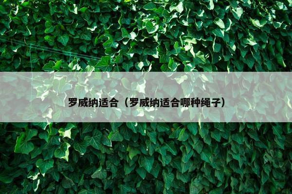罗威纳适合（罗威纳适合哪种绳子）