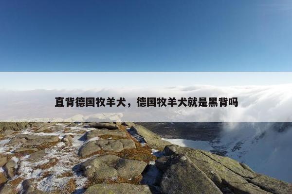 直背德国牧羊犬,德国牧羊犬就是黑背吗 直背德国牧羊犬,德国牧羊犬就是黑背吗