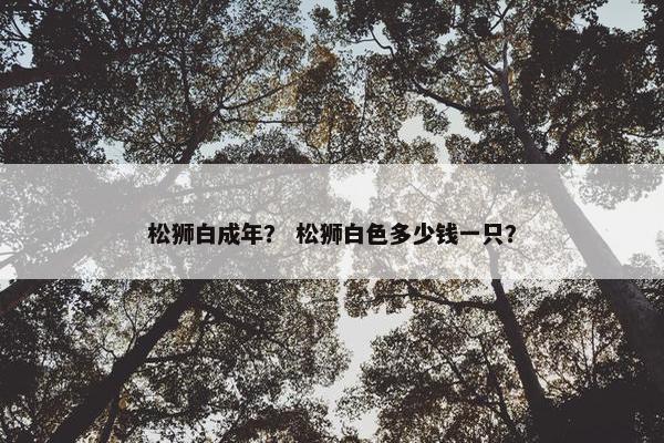 松狮白成年？ 松狮白色多少钱一只？