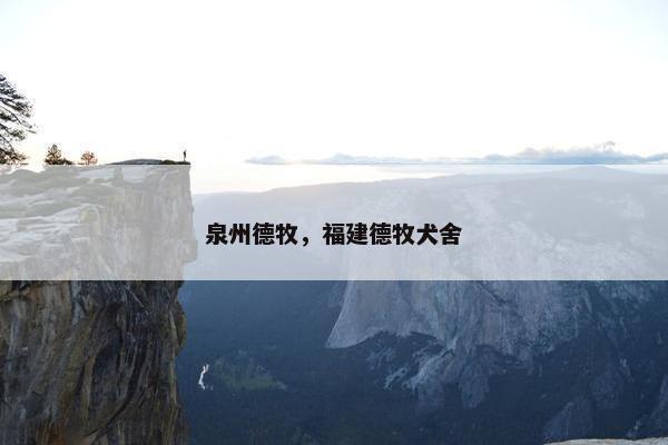 泉州德牧，福建德牧犬舍