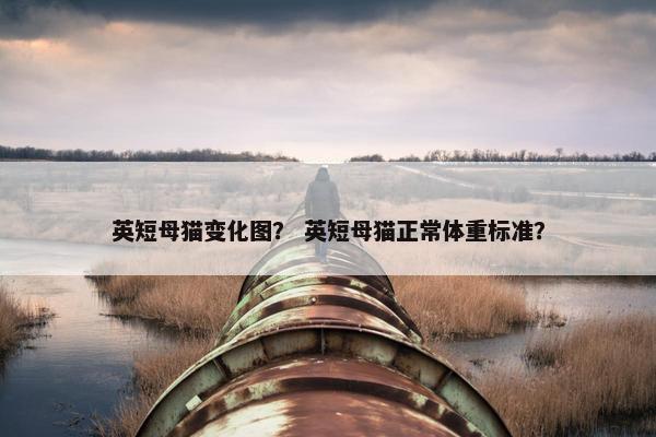 英短母猫变化图？ 英短母猫正常体重标准？