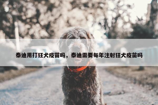 泰迪用打狂犬疫苗吗，泰迪需要每年注射狂犬疫苗吗