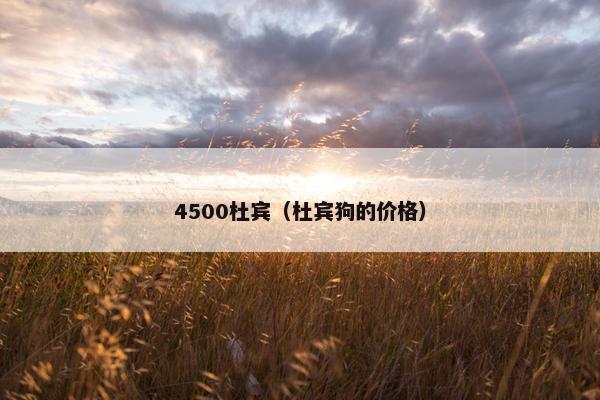 4500杜宾（杜宾狗的价格）