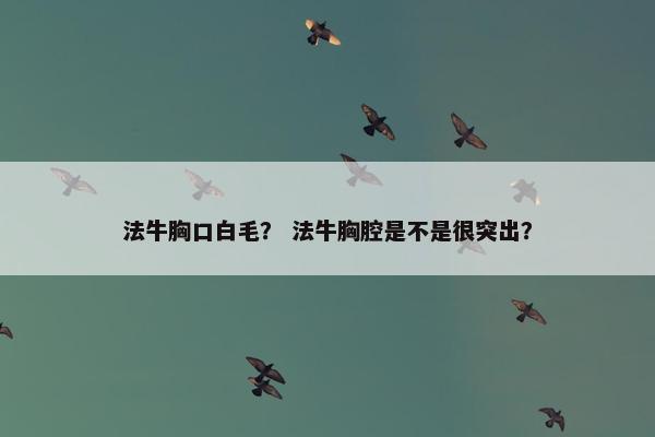法牛胸口白毛？ 法牛胸腔是不是很突出？