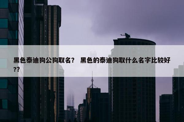 黑色泰迪狗公狗取名？ 黑色的泰迪狗取什么名字比较好?？