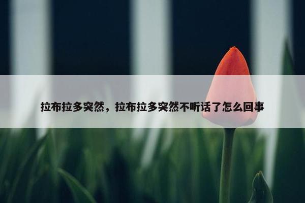 拉布拉多突然，拉布拉多突然不听话了怎么回事