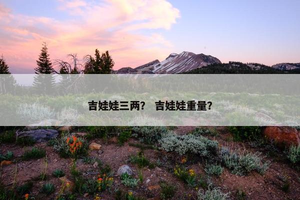 吉娃娃三两？ 吉娃娃重量？