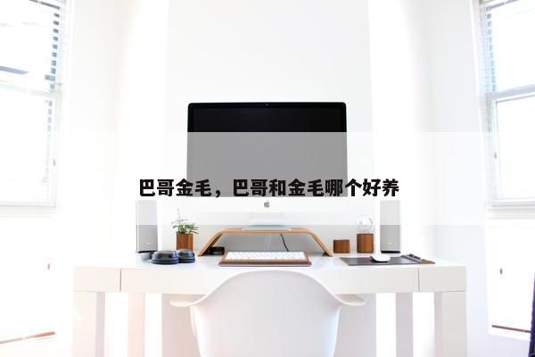 巴哥金毛，巴哥和金毛哪个好养