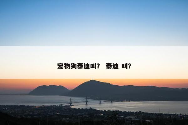 宠物狗泰迪叫？ 泰迪 叫？