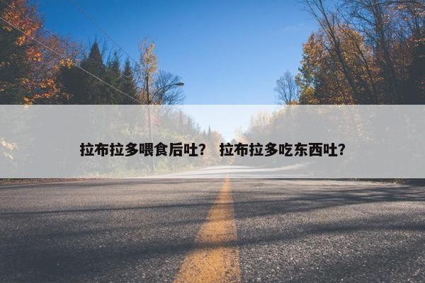 拉布拉多喂食后吐？ 拉布拉多吃东西吐？