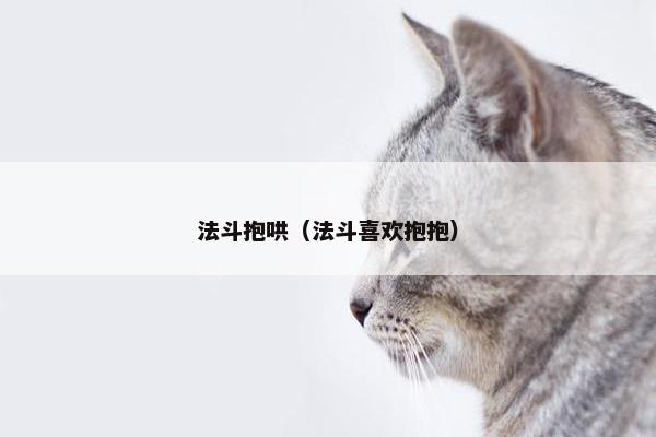 法斗抱哄（法斗喜欢抱抱）