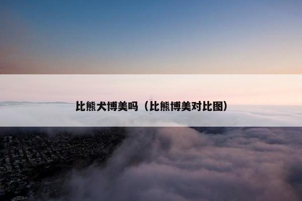 比熊犬博美吗（比熊博美对比图）