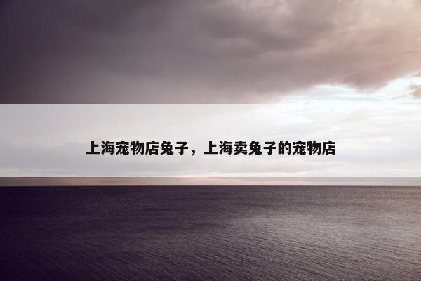 上海宠物店兔子，上海卖兔子的宠物店