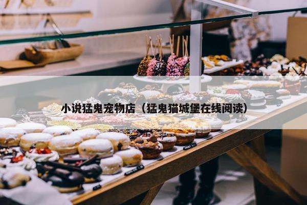 小说猛鬼宠物店（猛鬼猫城堡在线阅读）