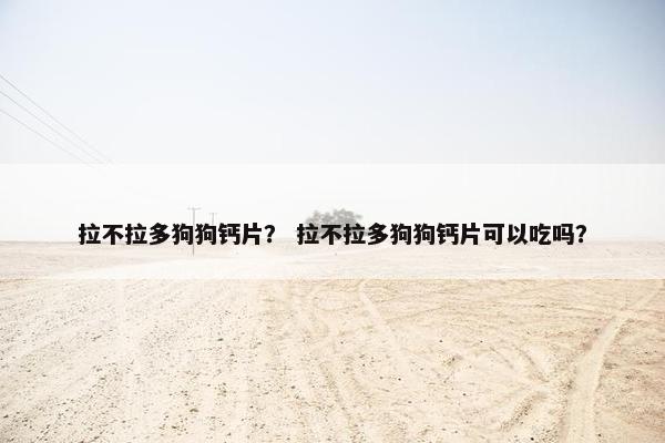拉不拉多狗狗钙片？ 拉不拉多狗狗钙片可以吃吗？