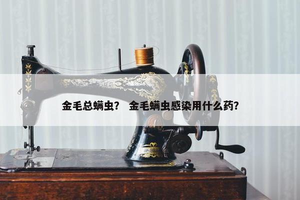 金毛总螨虫？ 金毛螨虫感染用什么药？