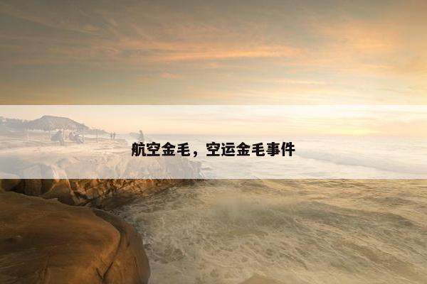 航空金毛，空运金毛事件