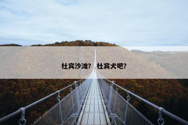 杜宾沙滩？ 杜宾犬吧？