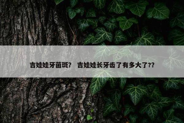 吉娃娃牙菌斑？ 吉娃娃长牙齿了有多大了?？