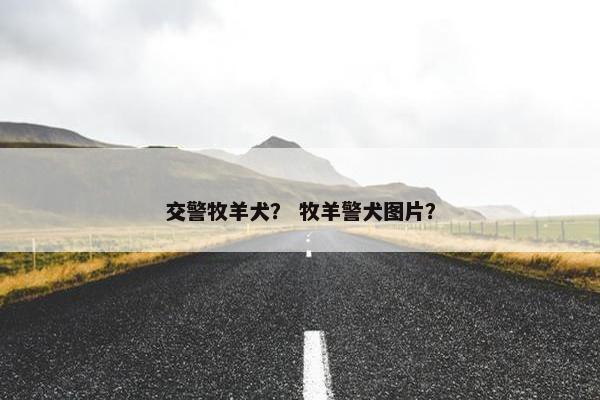 交警牧羊犬？ 牧羊警犬图片？