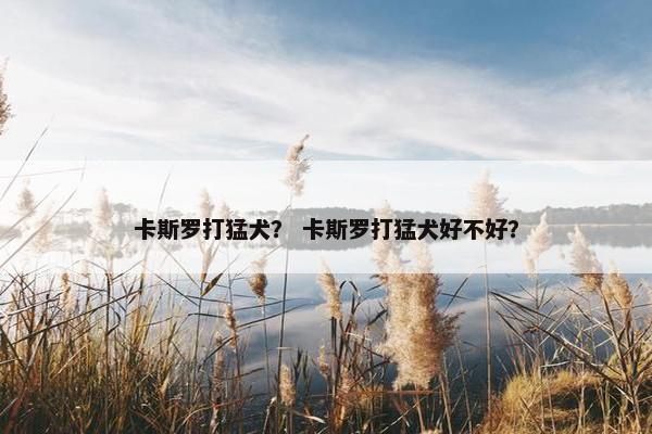 卡斯罗打猛犬？ 卡斯罗打猛犬好不好？