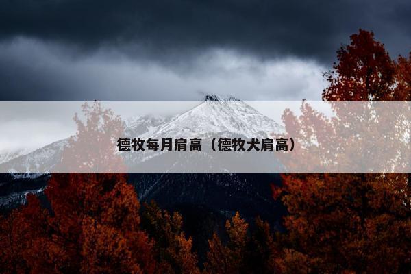 德牧每月肩高（德牧犬肩高）
