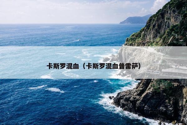 卡斯罗混血（卡斯罗混血普雷萨）