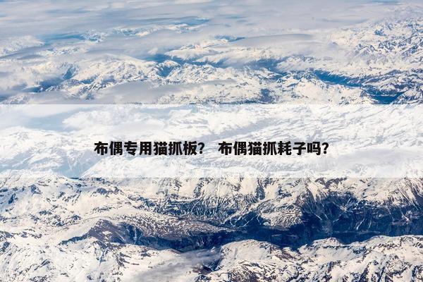 布偶专用猫抓板？ 布偶猫抓耗子吗？