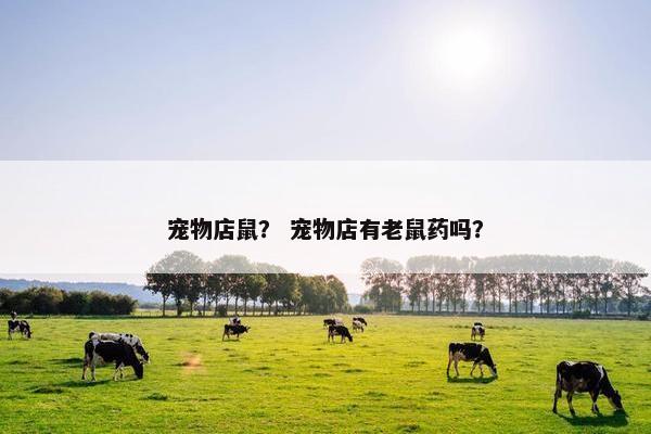 宠物店鼠？ 宠物店有老鼠药吗？