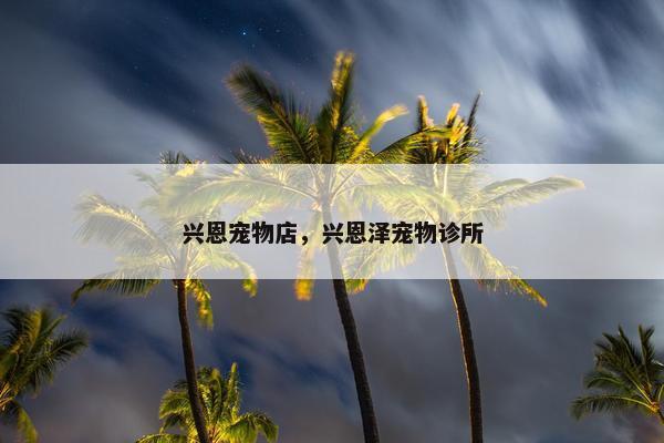兴恩宠物店，兴恩泽宠物诊所
