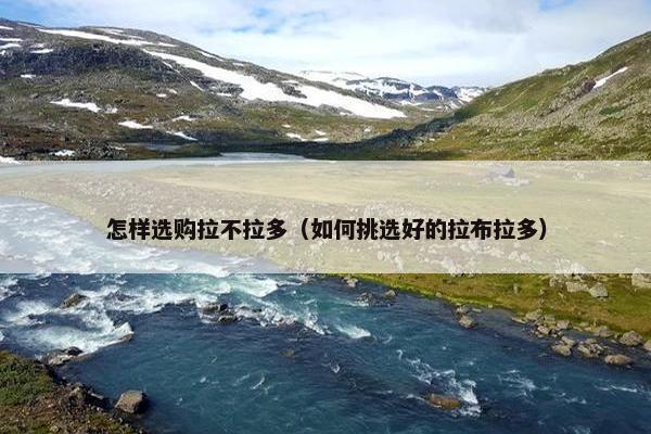 怎样选购拉不拉多（如何挑选好的拉布拉多）