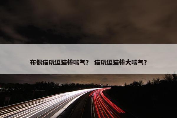 布偶猫玩逗猫棒喘气？ 猫玩逗猫棒大喘气？