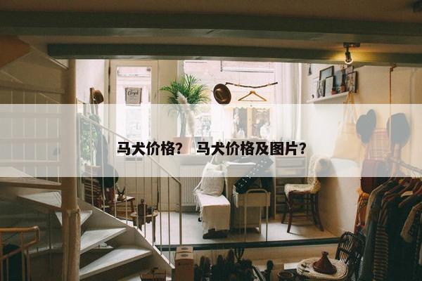 马犬价格？ 马犬价格及图片？