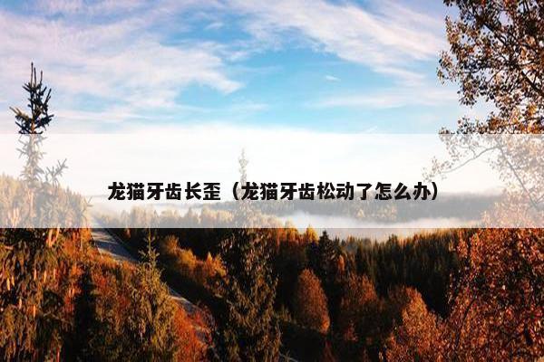 龙猫牙齿长歪（龙猫牙齿松动了怎么办）