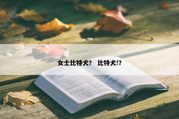 女士比特犬？ 比特犬!？