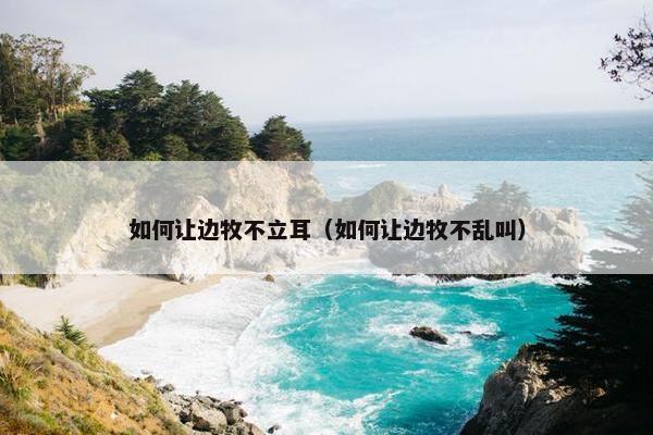 如何让边牧不立耳（如何让边牧不乱叫）