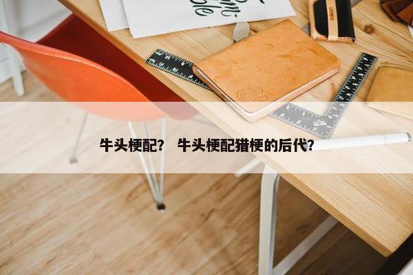 牛头梗配？ 牛头梗配猎梗的后代？
