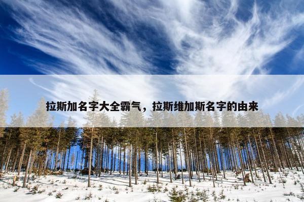 拉斯加名字大全霸气，拉斯维加斯名字的由来