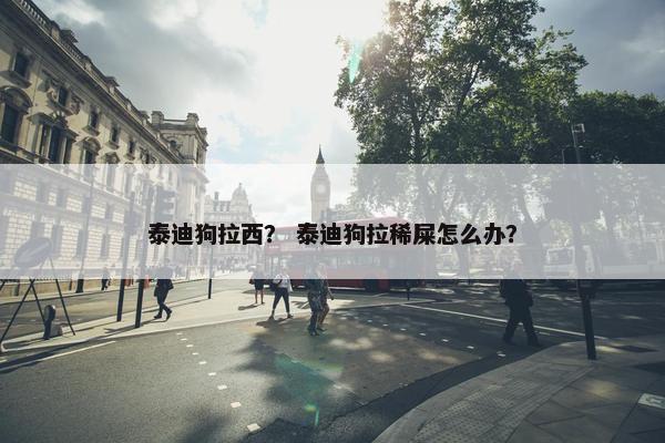 泰迪狗拉西？ 泰迪狗拉稀屎怎么办？