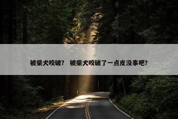 被柴犬咬破？ 被柴犬咬破了一点皮没事吧？