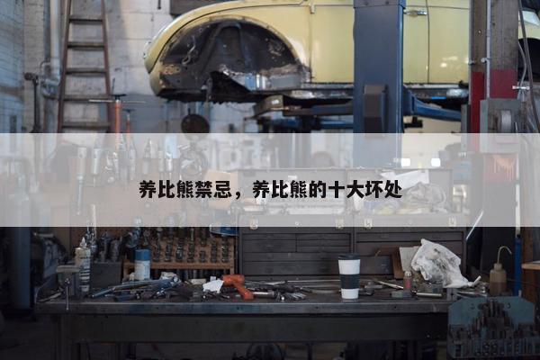 养比熊禁忌，养比熊的十大坏处