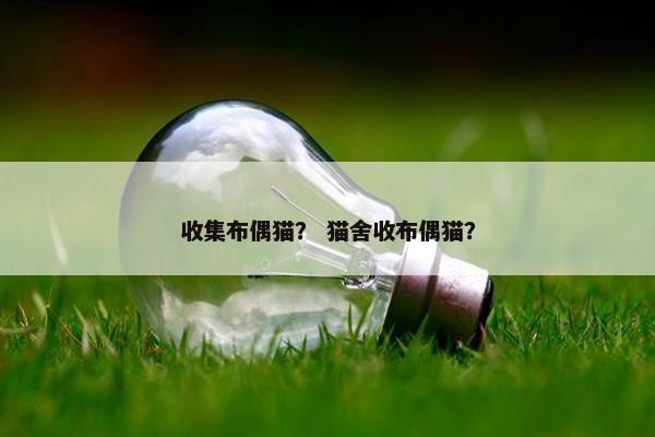 收集布偶猫？ 猫舍收布偶猫？