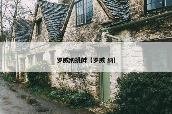 罗威纳挑衅（罗威 纳）