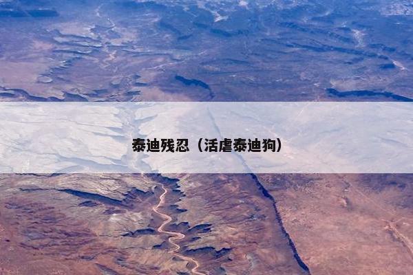 泰迪残忍（活虐泰迪狗）